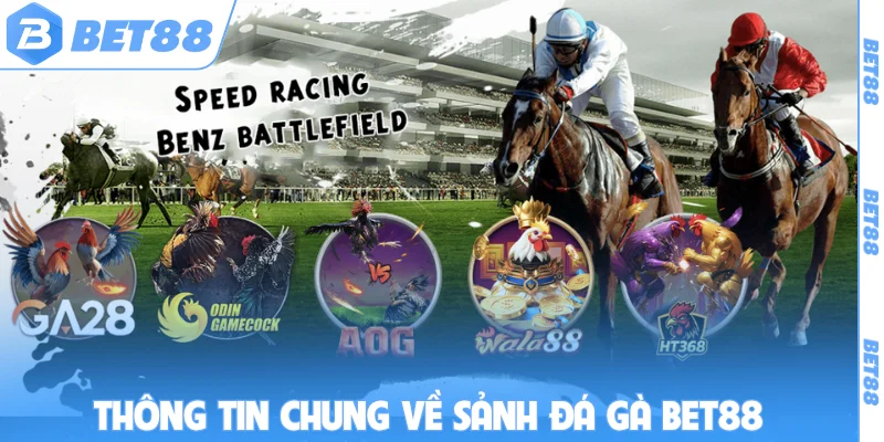 Thông tin chung về sảnh đá gà BET88